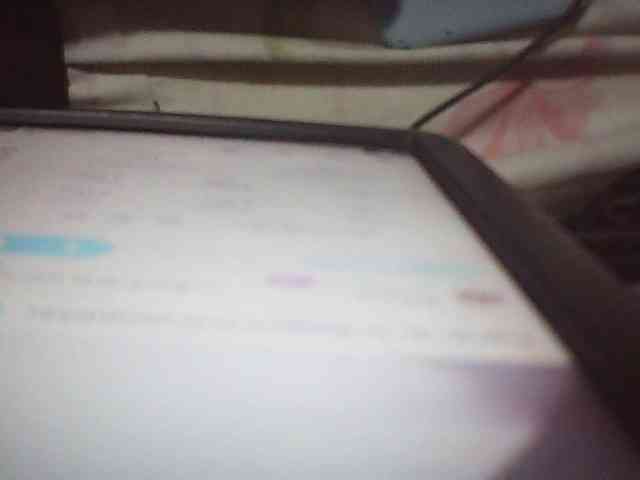 fariana webcam