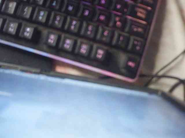 fariana webcam