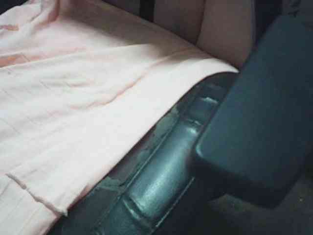 fariana webcam