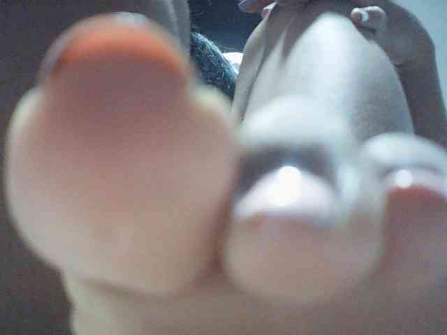fariana webcam