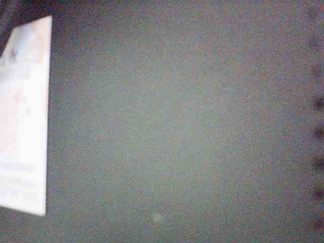 fariana webcam