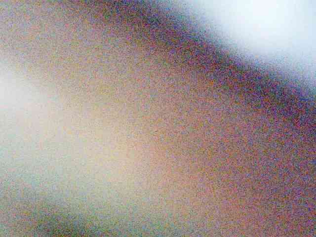 fariana webcam