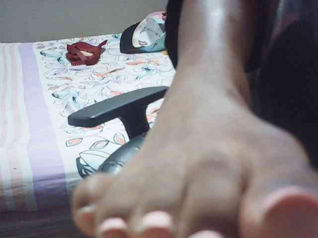 fariana webcam
