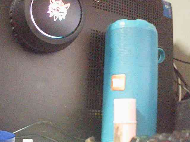 fariana webcam