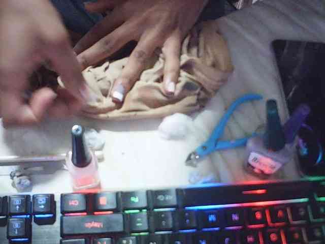 fariana webcam