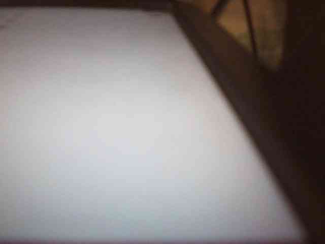 fariana webcam