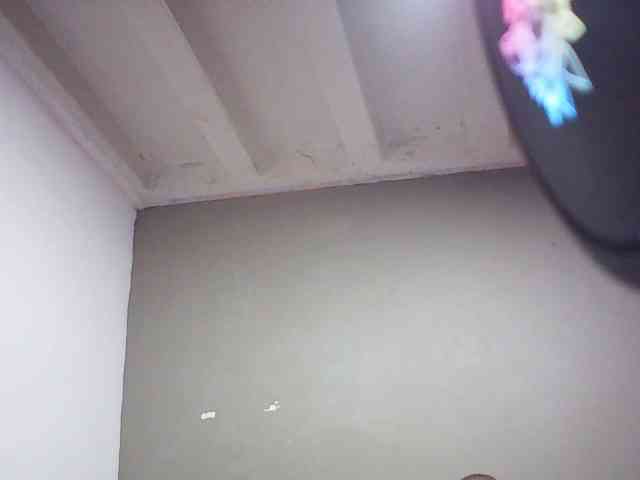 fariana webcam