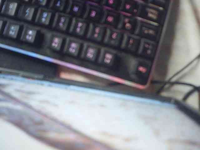 fariana webcam