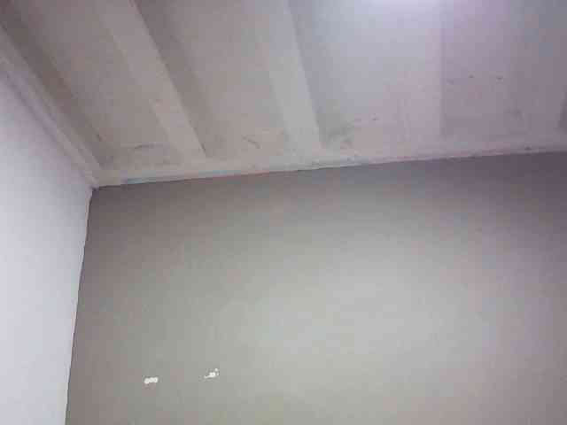 fariana webcam
