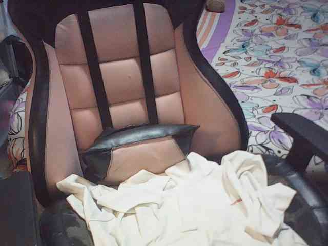 fariana webcam