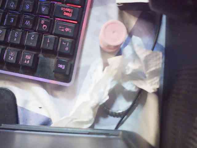 fariana webcam