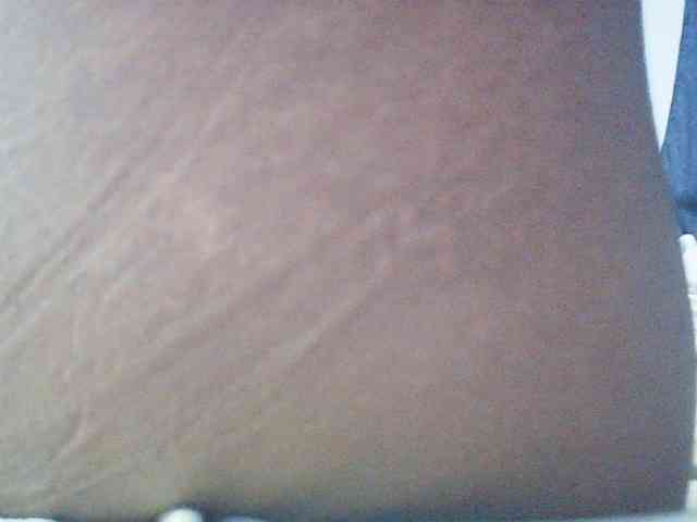 fariana webcam