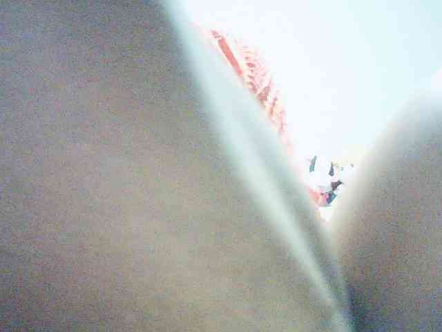fariana webcam