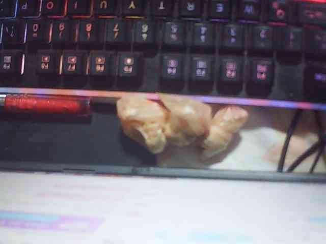 fariana webcam