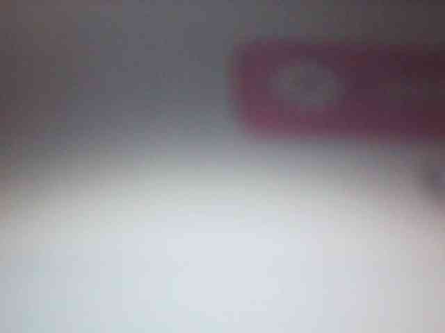 fariana webcam