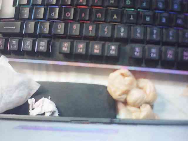 fariana webcam