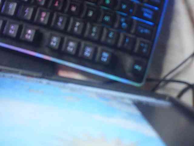 fariana webcam