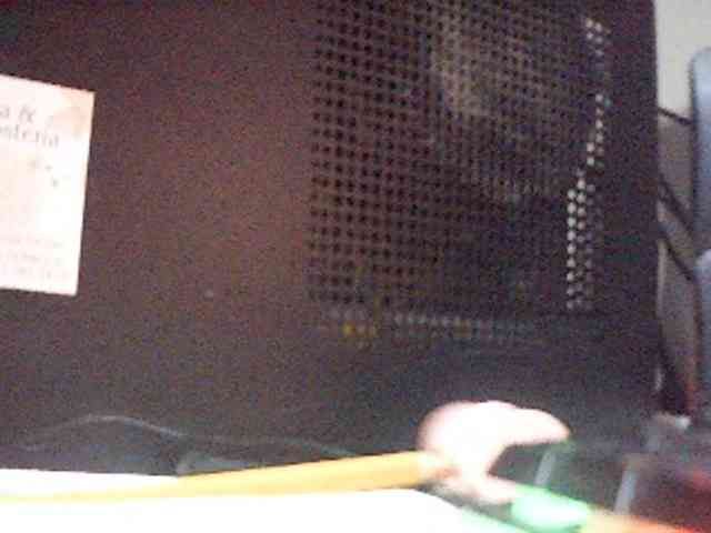 fariana webcam