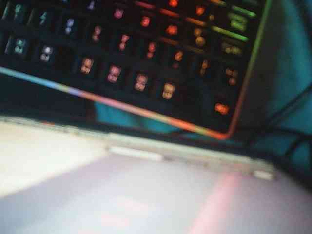 fariana webcam