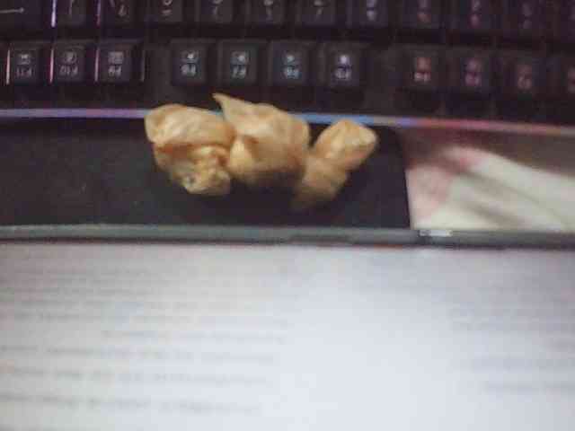 fariana webcam