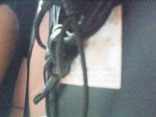 fariana webcam