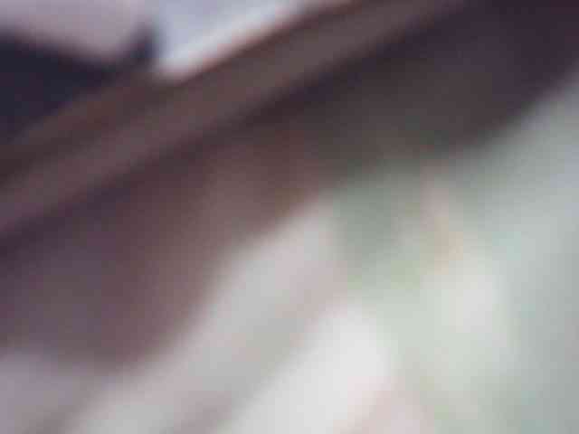 fariana webcam