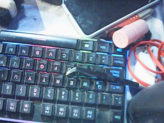 fariana webcam