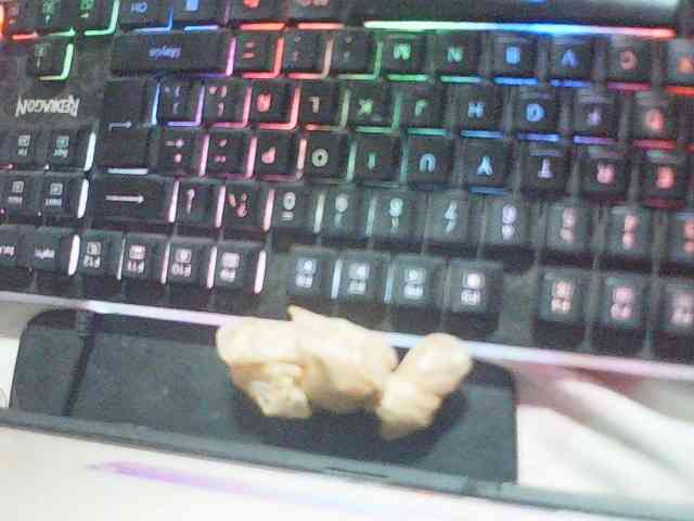 fariana webcam