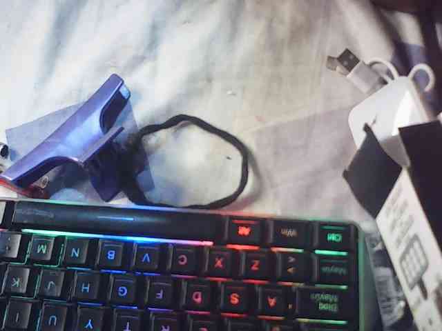 fariana webcam