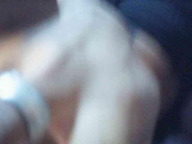 fariana webcam