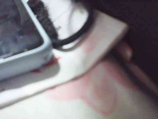 fariana webcam