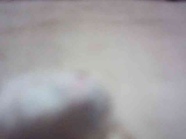 fariana webcam