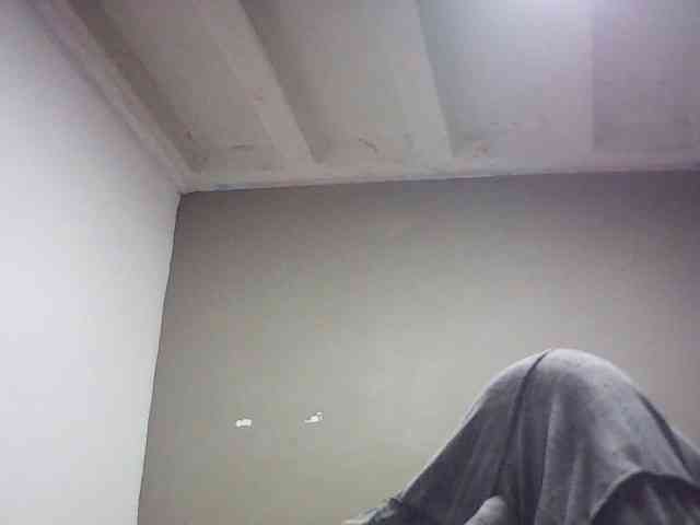 fariana webcam