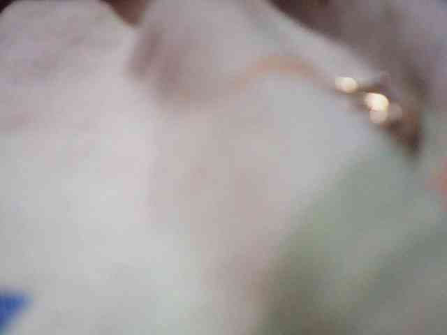 fariana webcam