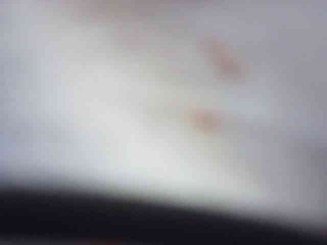 fariana webcam