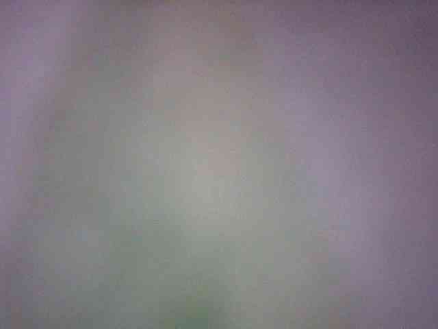 fariana webcam