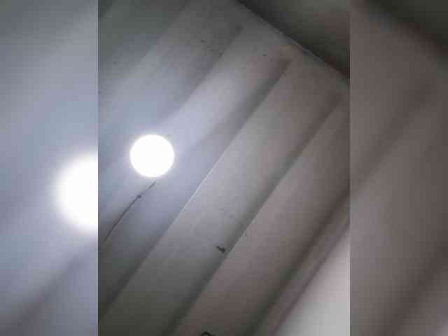 fariana webcam