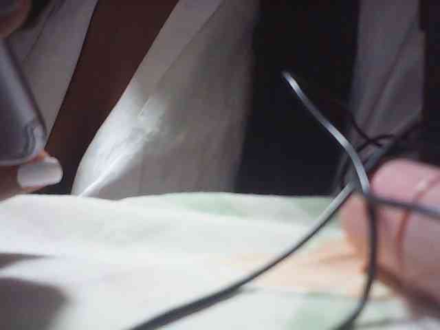 fariana webcam