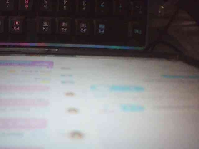 fariana webcam