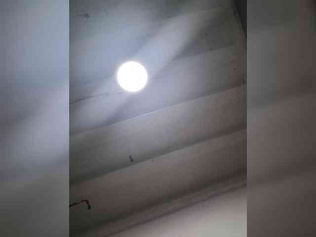 fariana webcam