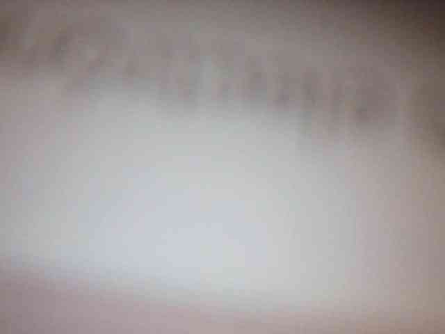 fariana webcam