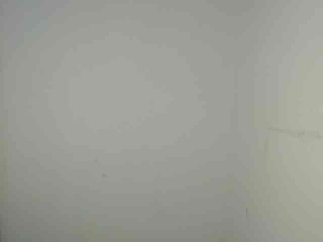 Sexybutt webcam