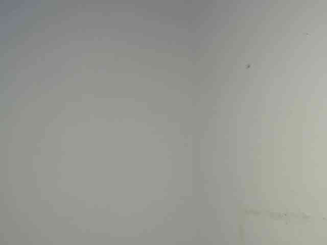 Sexybutt webcam