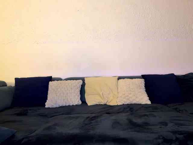 Andyvelvet webcam
