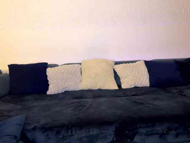 Andyvelvet webcam