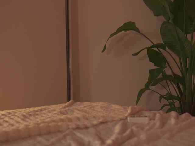 Sofa01 webcam