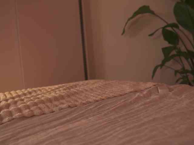 Sofa01 webcam