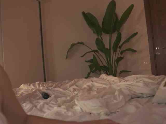 Sofa01 webcam