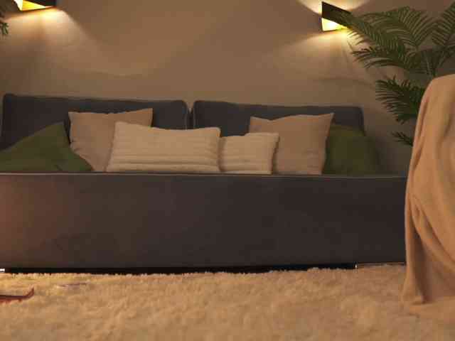 Sofa01 webcam