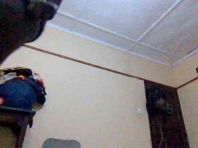 Swityass24 webcam